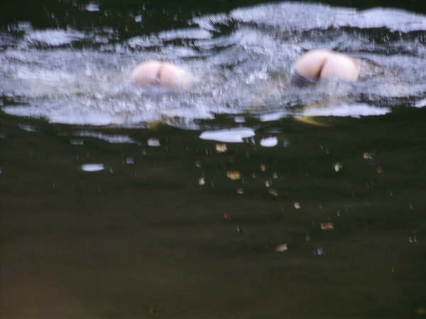 nessie