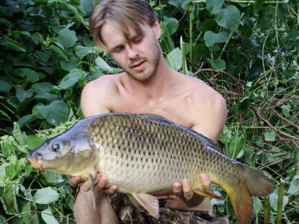 carpe 4kgs
