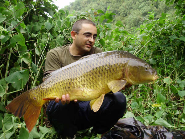 carpe lot 9,5kilos